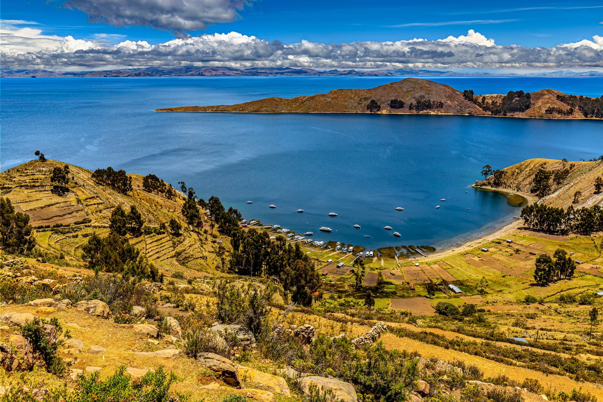 bolivie titre 6554845552c8d5755cd67572