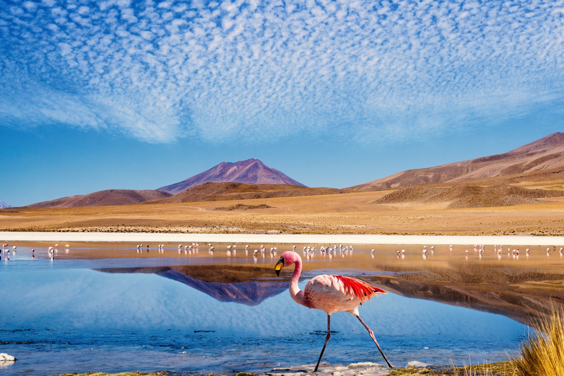 Miglior periodo per visitare la Bolivia