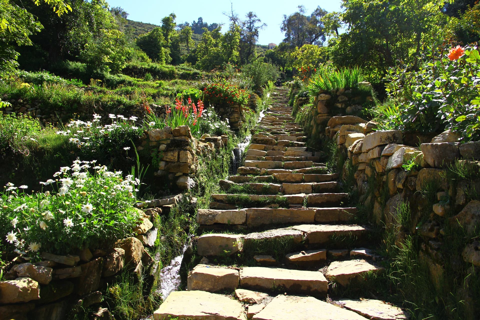 La Scala Inca, lago Titicaca